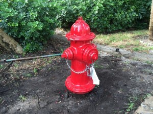 A new fire hydrant installed by Line Tec, Inc. in Palm Beach Gardens, South Florida